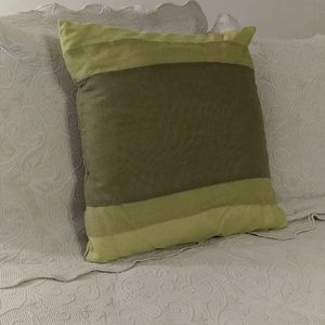 Not New,  Two Color Green Pillow
